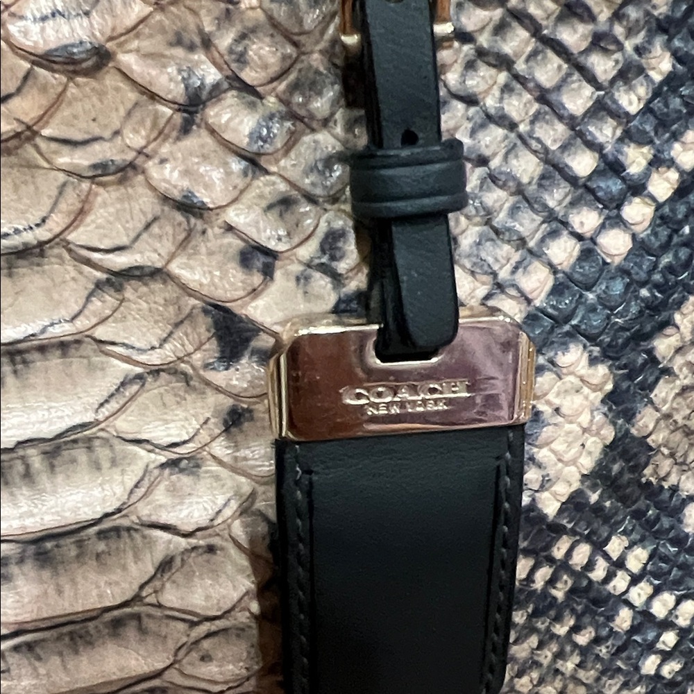 Pre-loved 😍COACH BUNDLE & LV DUST BAG! - Picture 9 of 17